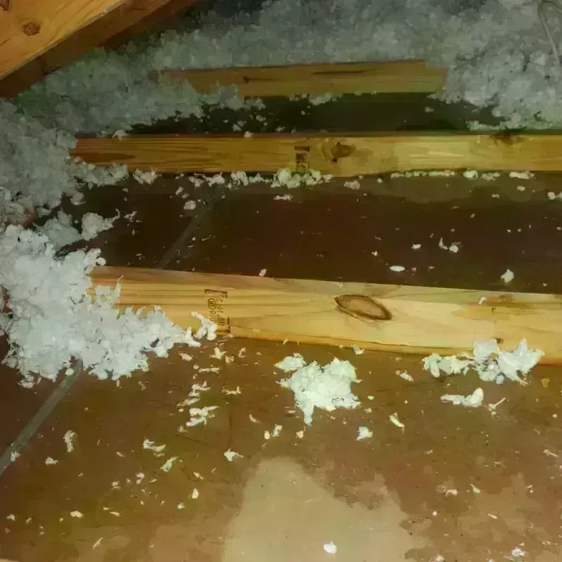 Attic Water Damage in Oswego, NY