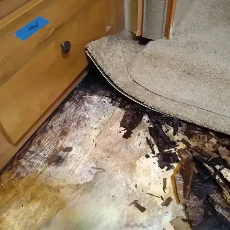 Best Wood Floor Water Damage Service in Oswego, NY